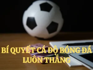 Tìm Hiểu Cá Cược Bóng Đá AE888 Hấp Dẫn Và Thú Vị Nhất 2025