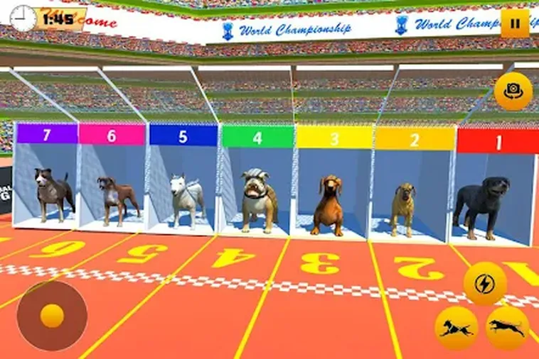 Cách Chơi Game Nhanh Đua Chó Tại AE888 Thắng Lớn Hàng Ngày 2 Cách Chơi Game Nhanh Đua Chó Tại AE888 Thắng Lớn Hàng Ngày
