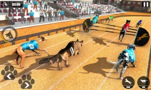 Cách Chơi Game Nhanh Đua Chó Tại AE888 Thắng Lớn Hàng Ngày